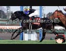 【競馬】ゆっくりさんと未来に語り継ぎたい名馬たち その020【ゆっくり朗読】