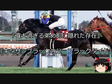 【競馬】ゆっくりさんと未来に語り継ぎたい名馬たち その020【ゆっくり朗読】