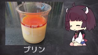 【きりたんの自由研究】 プリン