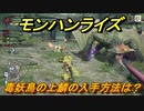 モンハンライズ　毒妖鳥の上鱗の入手方法は？　＃５０４【ＭＨＲ】