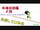 【VOICEROID解説】京町セイカの体操技図鑑　第三十八回　リンチ、モズニク＆ファルダン