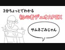 3分ちょっとでわかる初心者デュオAPEX
