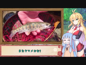 弦巻マキと水辺の出逢い　＃1「テンカラで狙う春ヤマメ」