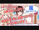 【ときのそら】そらちゃんの凸待ちで嵐を呼び起こすねねち【桃鈴ねね/ホロライブ切り抜き】
