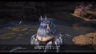 【FF14】マウント為