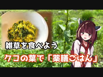 【思い切って野草を食べてみよう】#16 クコさんの葉で「薬膳ごはん」！