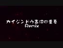 カイジンドウ毒沼四重奏 REMIX / Lv:SPACE