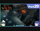 【ゆっくり実況】ムラいちがOuter Wilds Part29