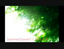 summer / 久石譲【遊び心をこめてアレンジしてみた】