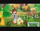 【あつ森】南から北へ発展していく島へ夢訪問＊とく島
