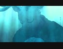 優しい彗星 歌ってみた【Rinha】