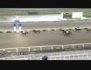 2021年5月15日高知競馬5R ＪＢＣ協会協賛高知佐賀スタリオンシリーズ シュヴァルグラン賞(準重賞) ダノンジャスティス