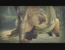 【モンハンライズ】猪相手でも容赦しない狩人の鑑 10【MHRise:モンスターハンターライズ】