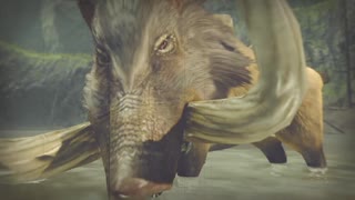 【モンハンライズ】猪相手でも容赦しない狩人の鑑 10【MHRise:モンスターハンターライズ】