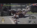 MHRise 闘技タッグリーグ　げま・verbチーム
