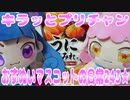 キラッとプリチャン～おすぬいマスコットの日常243★～