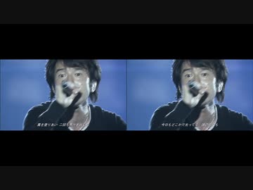 変態糞箒星　比較