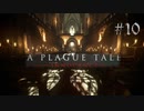 【A Plague Tale: Innocence】中世の空気と闇を感じながら 10【ゲーム実況】