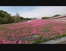 (バイク動画)芝ざくら公園方面ツーリング後編-CBR400RR-