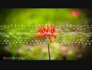 【MIDI】花映塚ED 「花は幻想のままに」を再現したかった