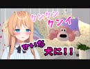 天翔院ひいな犬に…