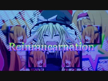 Reinmucarnation☆