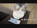 はまちさんと鯉さん。