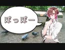 公園でハトの鳴きまねをするタカハシ【一部調声晒しあり】