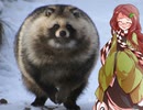 タヌキに天下を取らせた漢達⑥【本多忠勝】