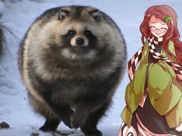 タヌキに天下を取らせた漢達⑥【本多忠勝】