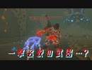 【実況】ゼルダの伝説 BREATH OF THE WILD　Part76【初見】
