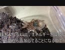 [納豆ご飯うまいよね]タランチュラ飼育日記その１８５[つい食べ過ぎます]