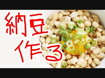 自分で納豆作る【嫌がる娘に無理やり弁当を持たせてみた息子編】