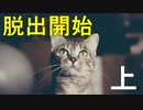 かわいい猫たちが沢山住んでる山小屋から脱出するぞ 【猫様の山小屋からの脱出】 （上）