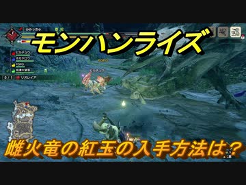 モンハンライズ 雌火竜の紅玉の入手方法は ５２９ ｍｈｒ ニコニコ動画