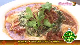 DB芸人　猫カフェへ行く2