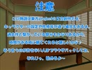 全てを失った付喪神が幻想入り　第二十九張