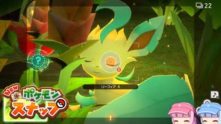 琴葉姉妹のポケスナライフ！１７日目