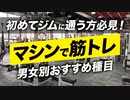 【初心者】初めてジムでトレーニングする時の おすすめマシン種目【ビーレジェンド プロテイン】