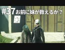 【実況】お前に妹が救えるか？【ニーアレプリカントver.1.22474487139...】ネタバレあり #37