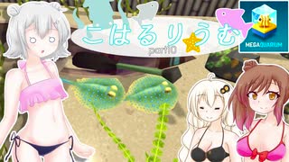 【Megaquarium】こはるりうむpart10【VOICEROID・CeVIO実況】