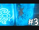 【ゼルダの伝説 BotW】テレワーク中でもブレワイがしたい！#3