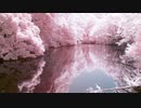 風に聞け２１０５１６　Raindrops - Huma-Huma