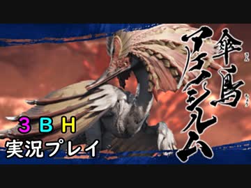 【3BH】バカで変態な３人組みが狩に出てみたMHRise【アケノシルム】