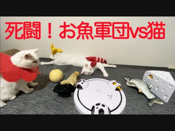 チンドン屋の死闘！武闘派ボス猫コンビvsダンシングフィッシュ