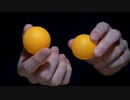 [ASMR] ピンポン玉の音