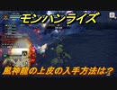 モンハンライズ　風神龍の上皮の入手方法は？　＃５４８【ＭＨＲ】