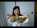 のまさんち「手作り！キウイフルーツの生八つ橋！？ 【シマいリスのスイーツ】」
