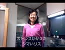 のまさんち「【シマいリスのスイーツ】キウイフルーツ大福！手作り美味い♪」
