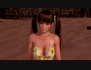 【DoaX3F】着替え失敗 レイファン 051800